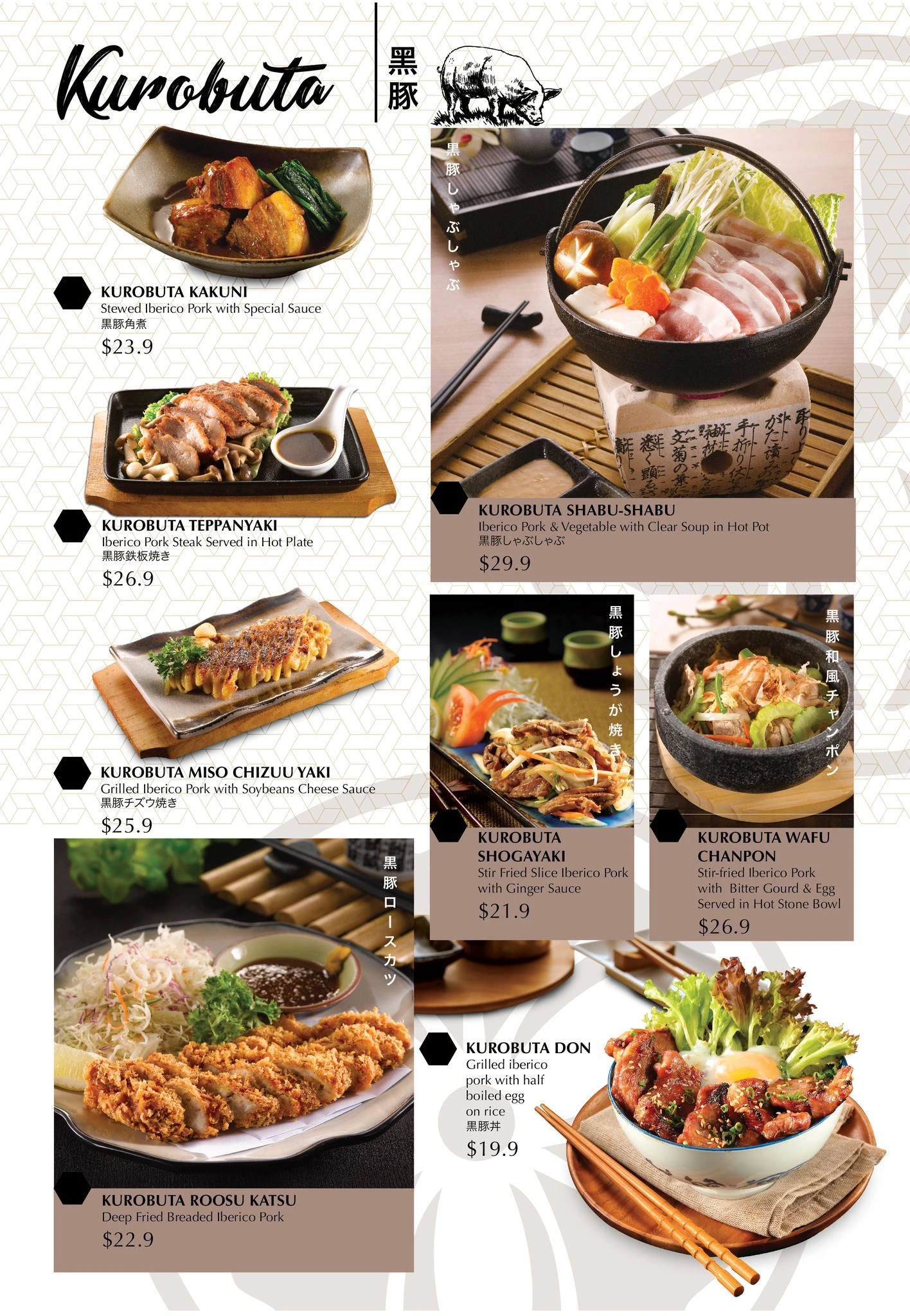 Edo Ichi Japanese Cuisine Restaurant Menu 2024